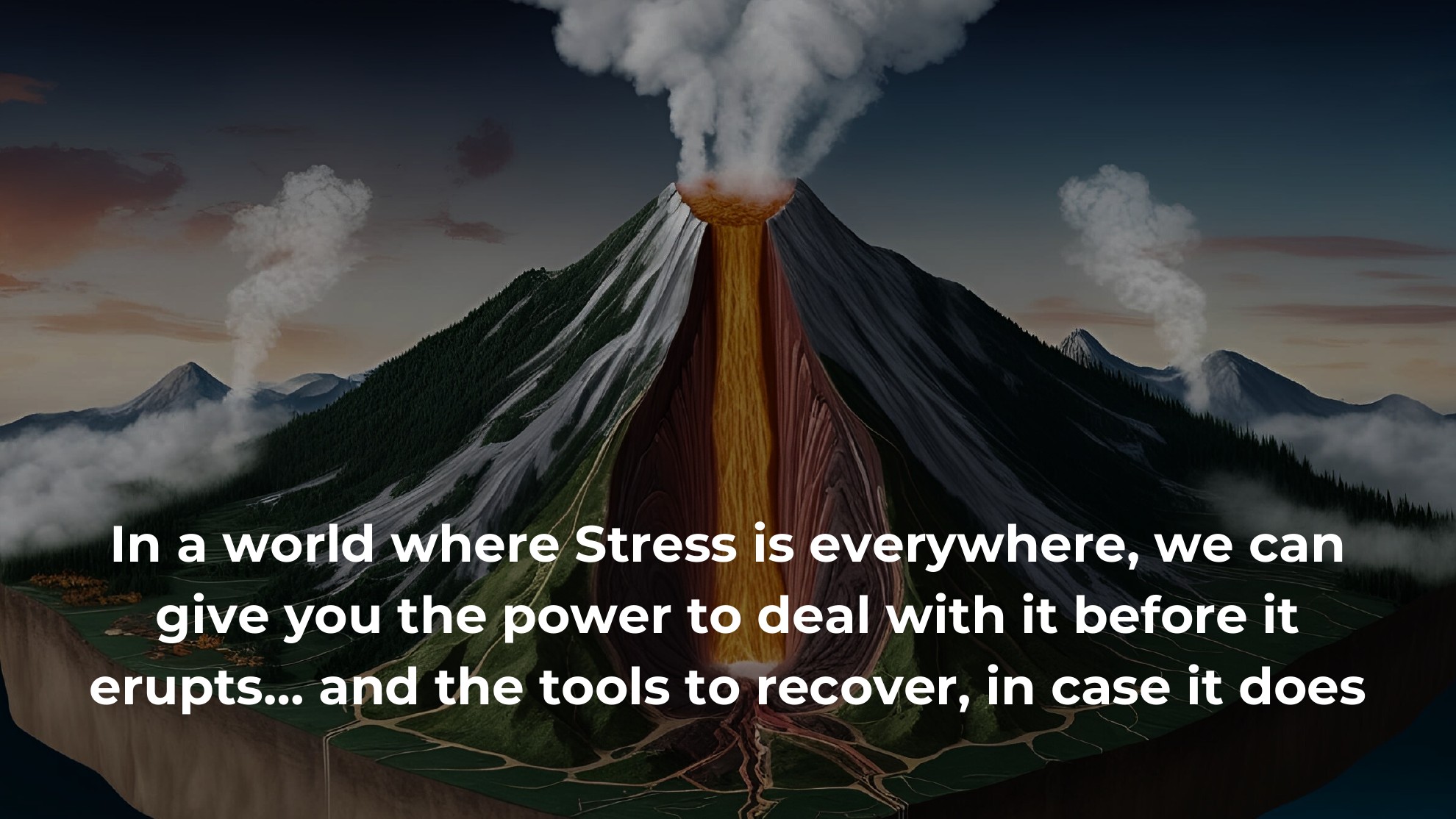 MyStressCheck slide 3