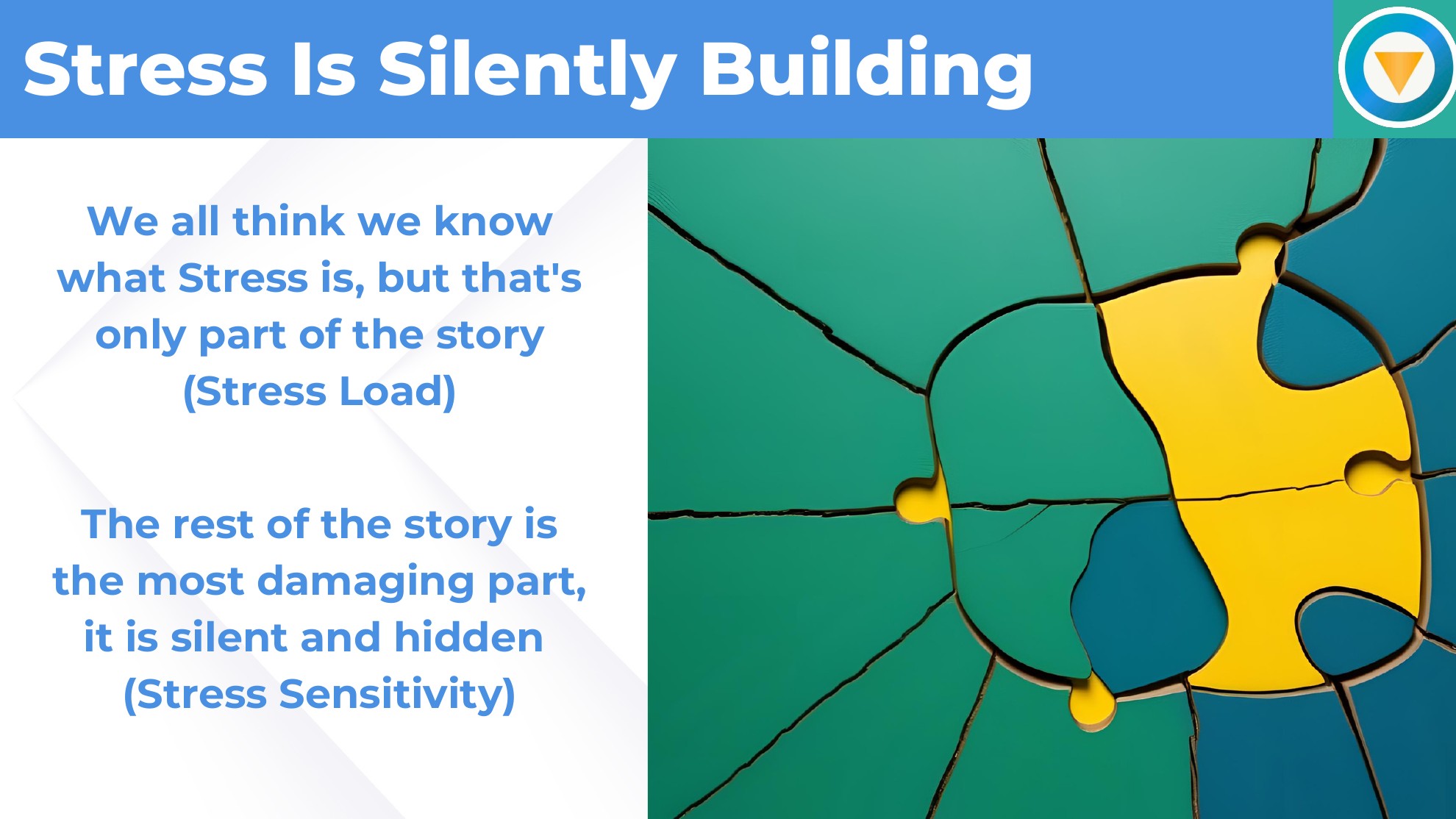 MyStressCheck slide 4