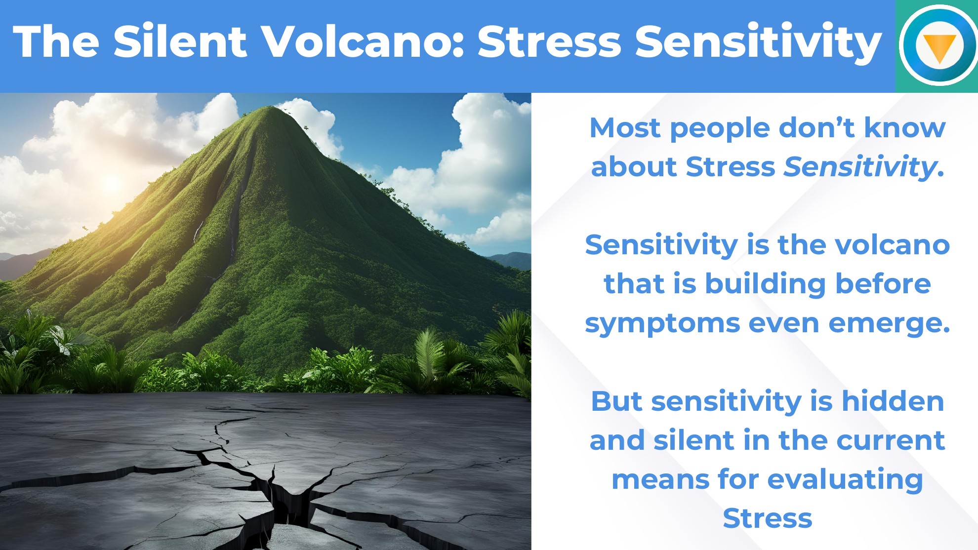 MyStressCheck slide 10